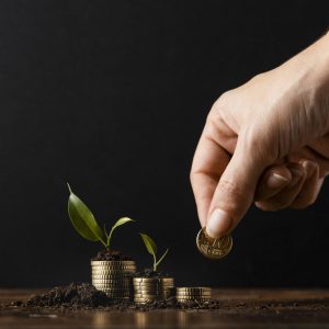 hand-adding-coins-stack-covered-dirt-plants